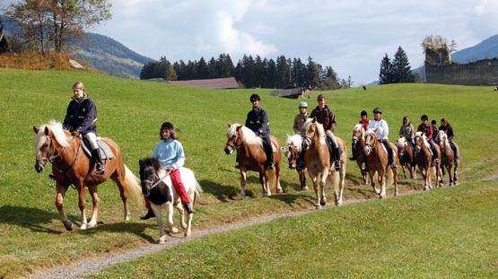 sommer reiten